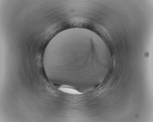 X0000093131060200710241318