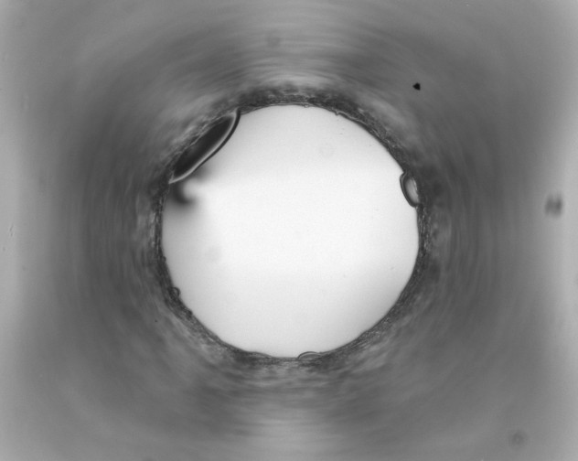 X0000093131061200710241318