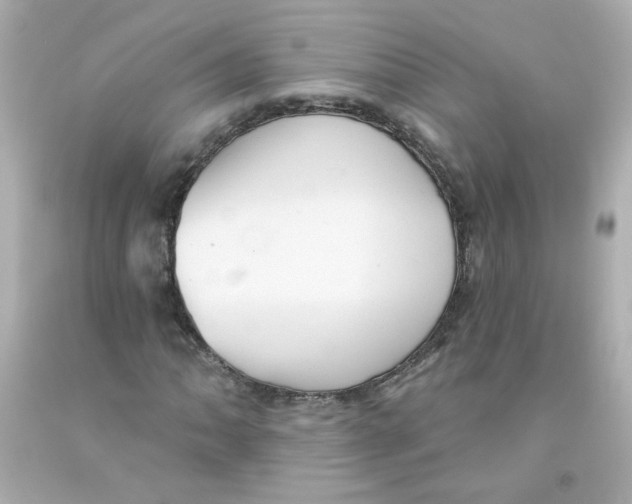 X0000093131062200710241318