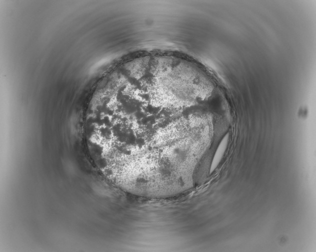 X0000093131063200710241318