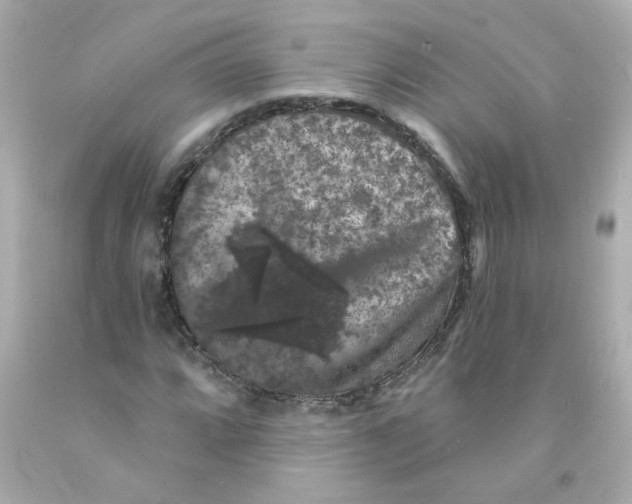 X0000093131064200710241318