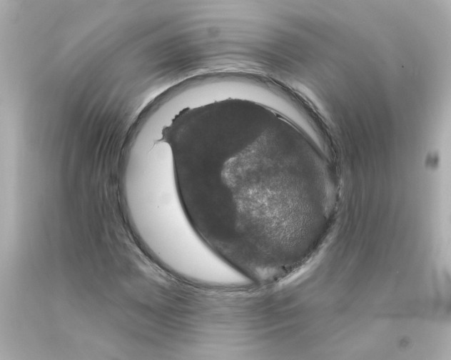 X0000093131065200710241318
