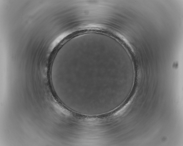 X0000093131066200710241318