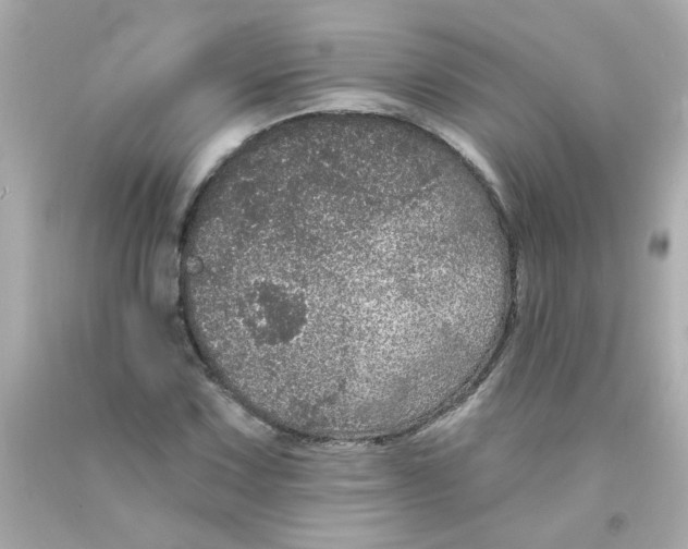 X0000093131067200710241318