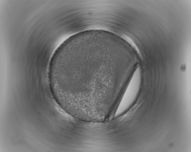 X0000093131068200710241318