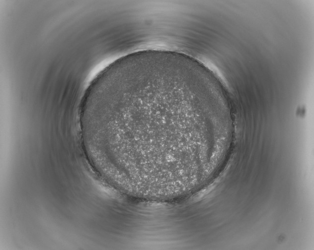 X0000093131070200710241318