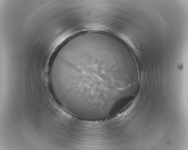 X0000093131071200710241318