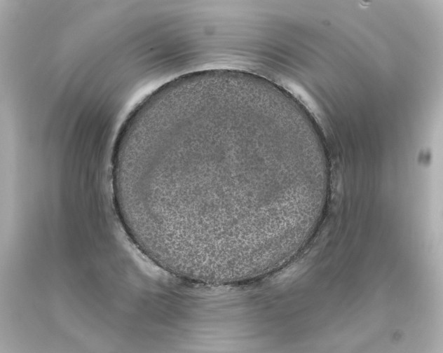 X0000093131072200710241318