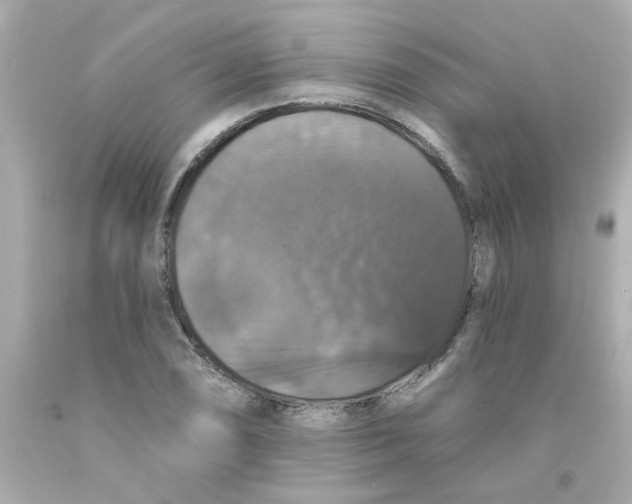 X0000093131074200710241318