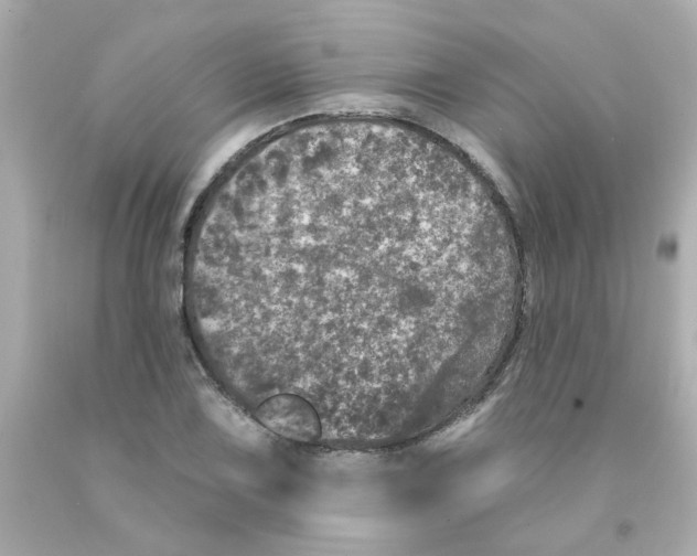 X0000093131075200710241318