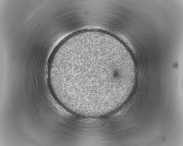 X0000093131076200710241318