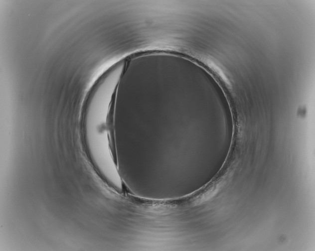 X0000093131077200710241318