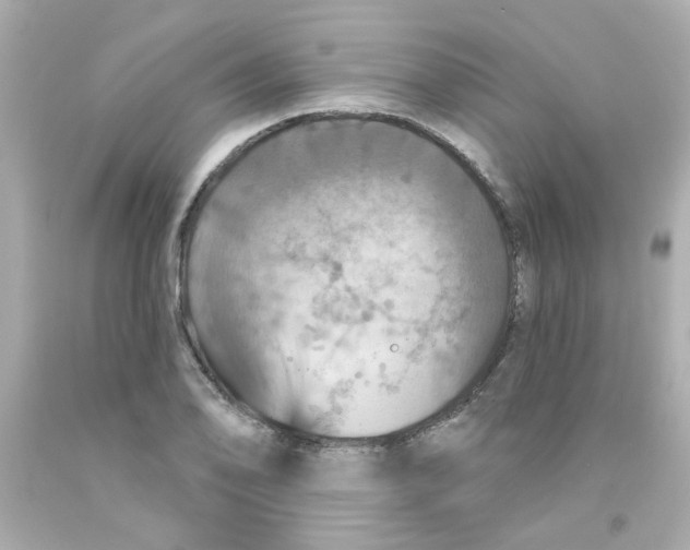 X0000093131078200710241318