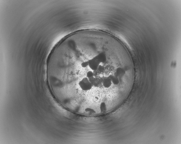X0000093131079200710241318