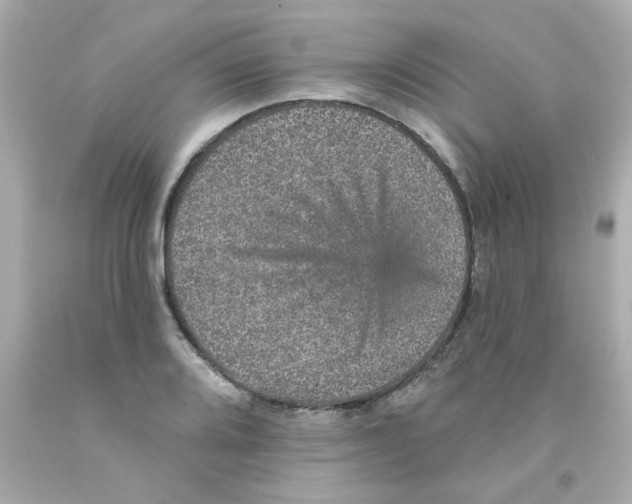X0000093131080200710241318