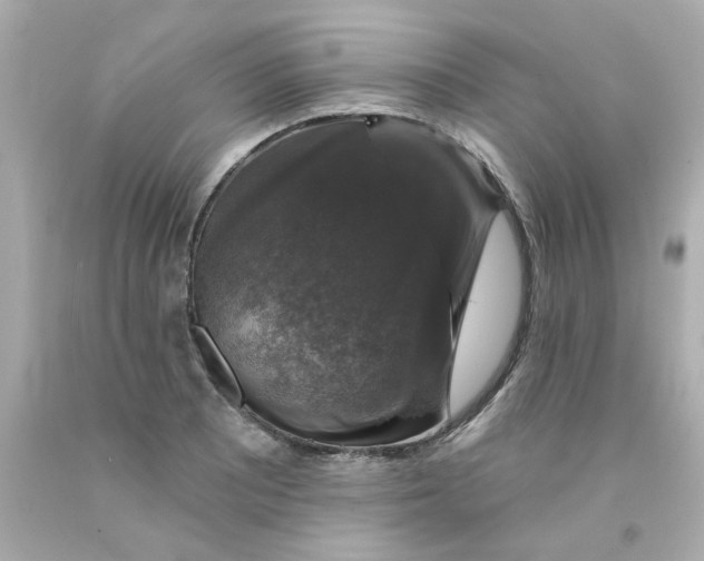 X0000093131081200710241318