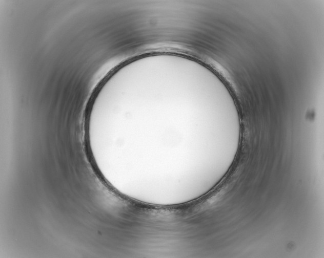 X0000093131082200710241318