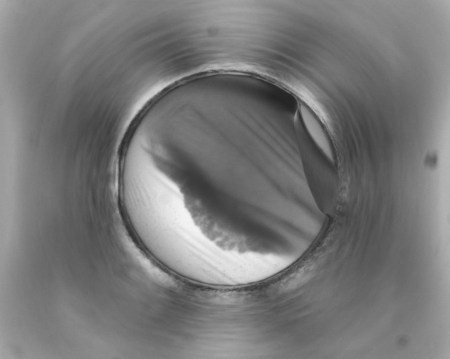 X0000093131084200710241318