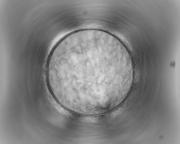 X0000093131086200710241318