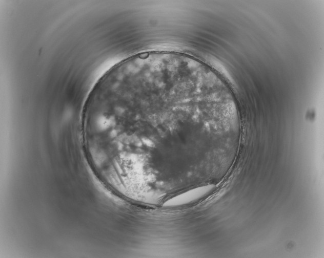 X0000093131087200710241318