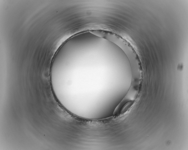 X0000093131089200710241318