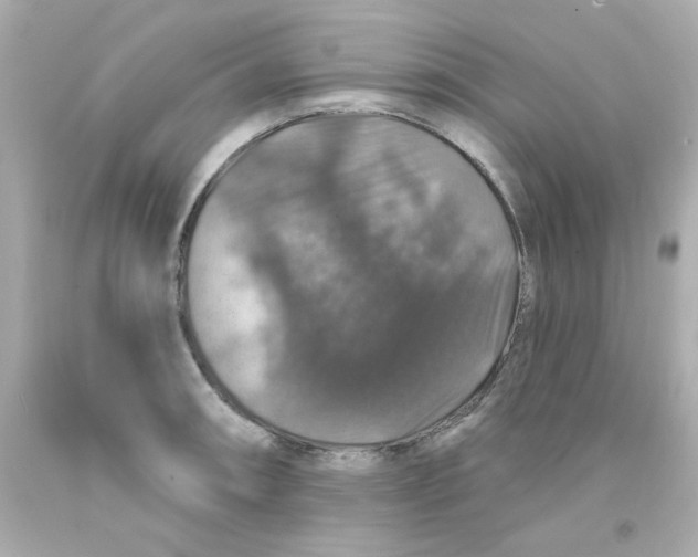 X0000093131090200710241318