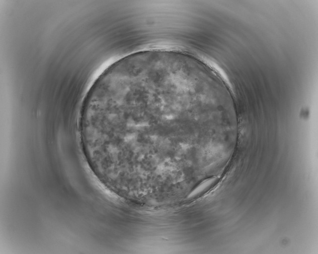 X0000093131091200710241318