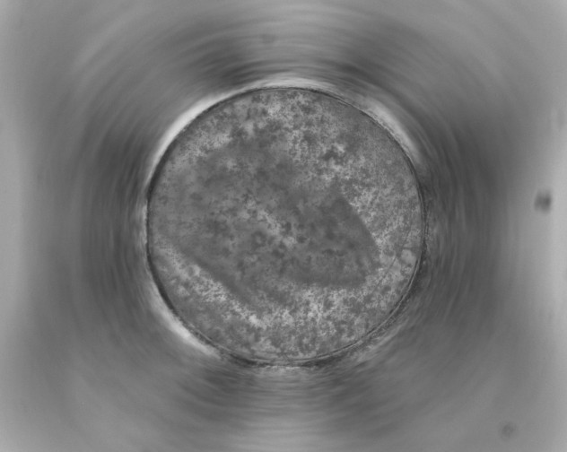 X0000093131092200710241318