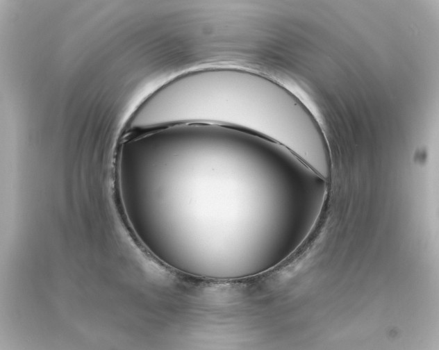 X0000093131093200710241318
