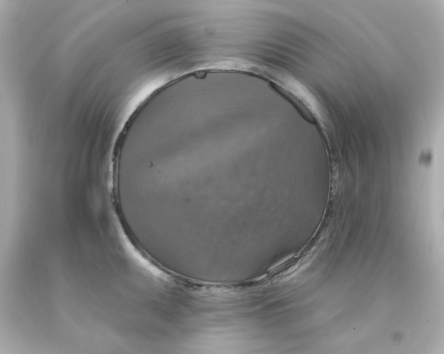 X0000093131095200710241318