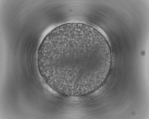 X0000093131096200710241318