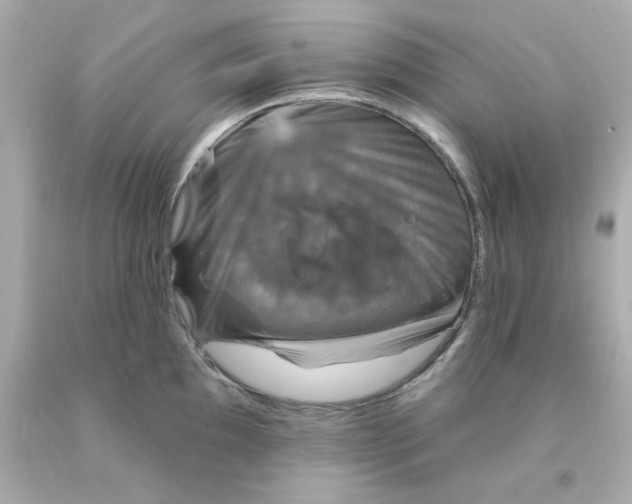 X0000093131097200710241318