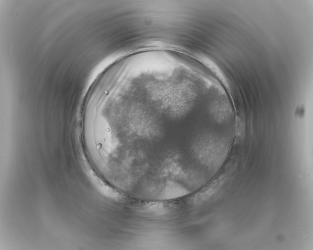 X0000093131098200710241318