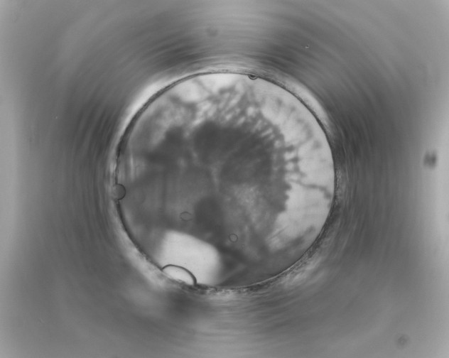 X0000093131099200710241318