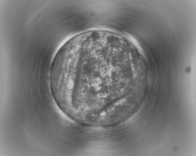 X0000093131100200710241318