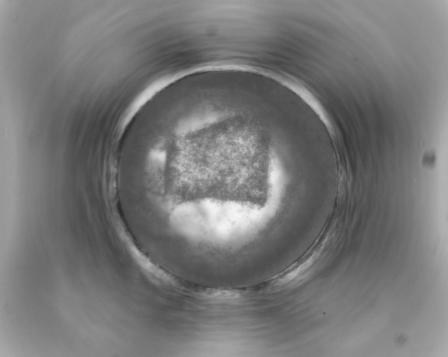 X0000093131101200710241318