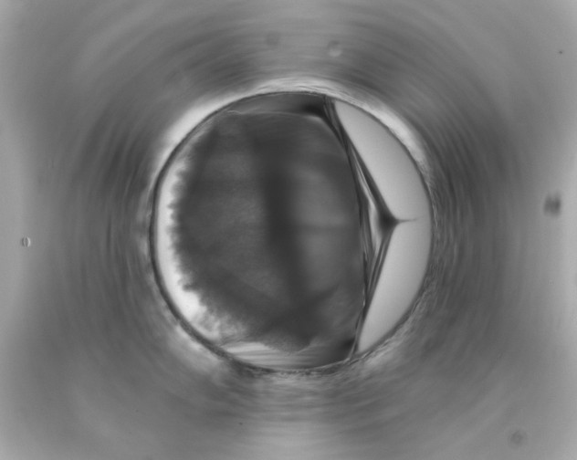 X0000093131102200710241318