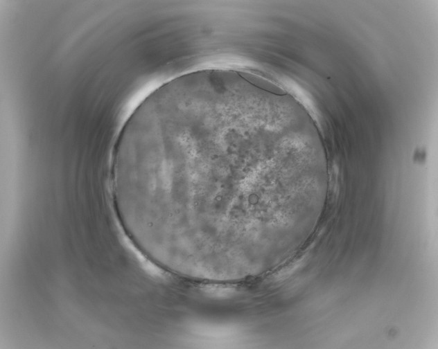 X0000093131103200710241318