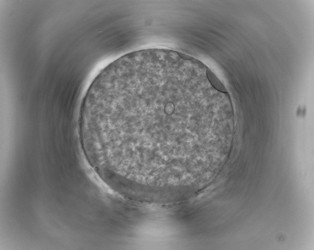 X0000093131104200710241318