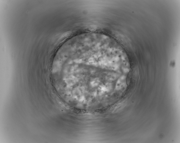 X0000093131105200710241317