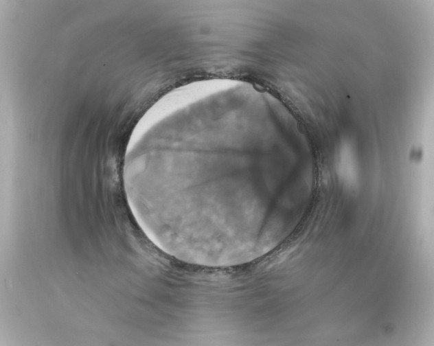 X0000093131106200710241317