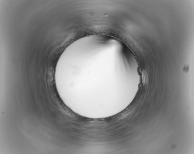 X0000093131107200710241317
