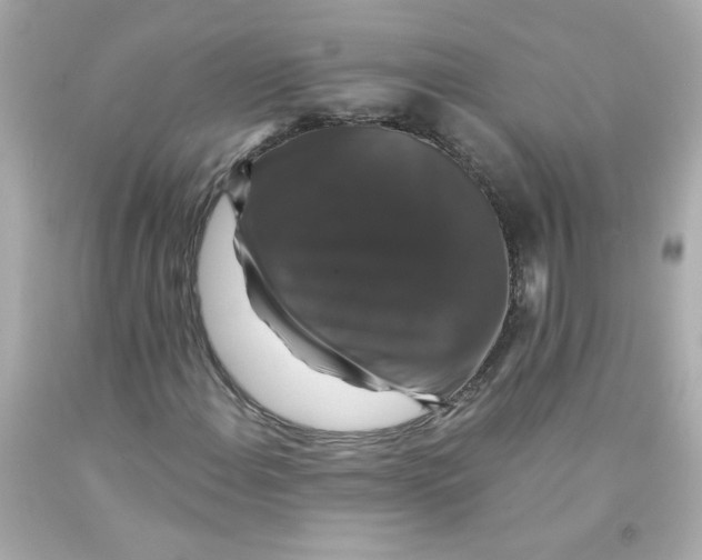 X0000093131108200710241317