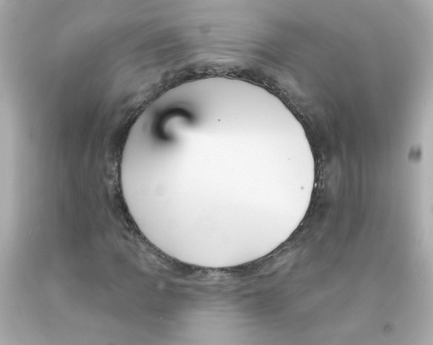 X0000093131109200710241317