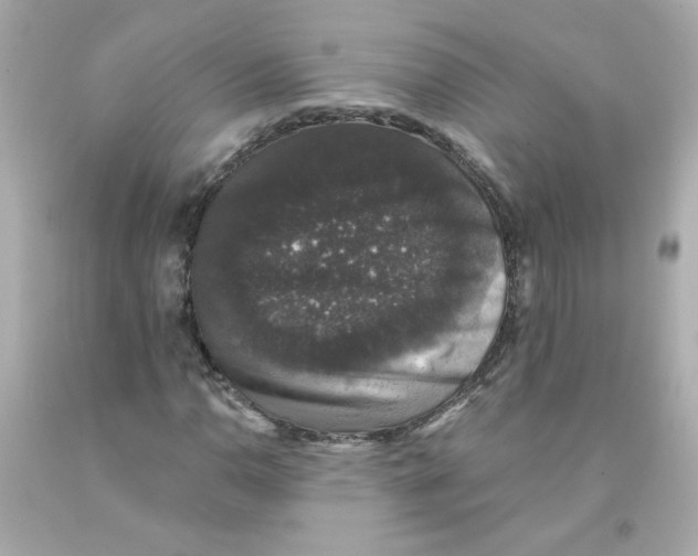 X0000093131110200710241317