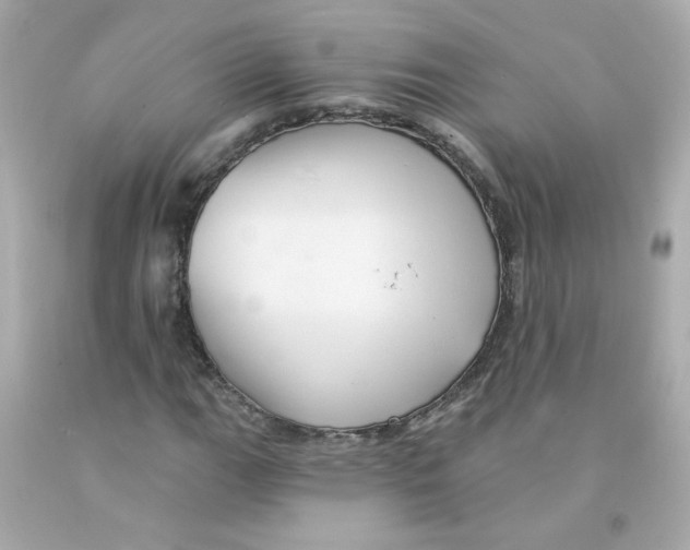 X0000093131111200710241317