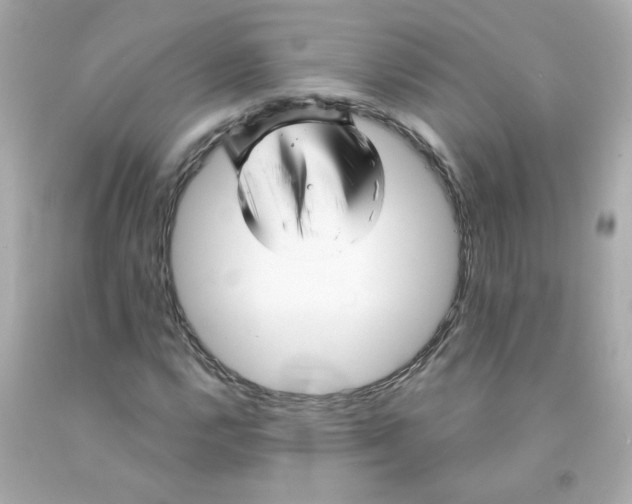 X0000093131112200710241317