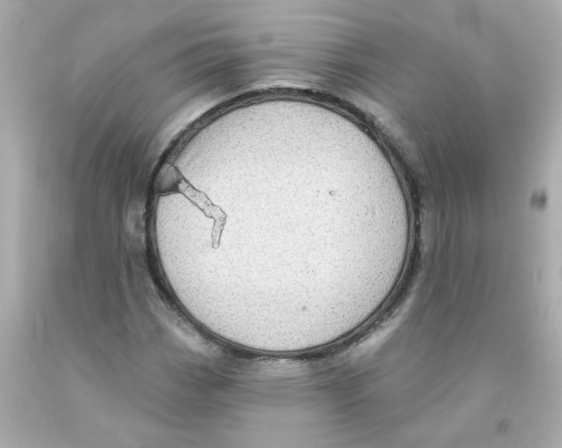 X0000093131113200710241317