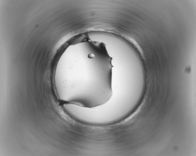 X0000093131114200710241317