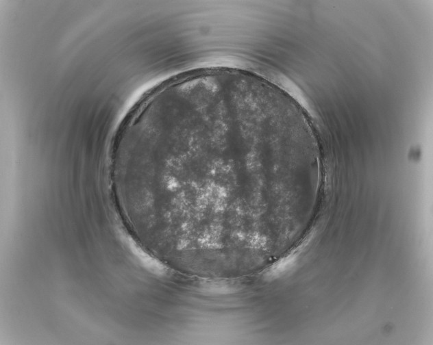 X0000093131116200710241317